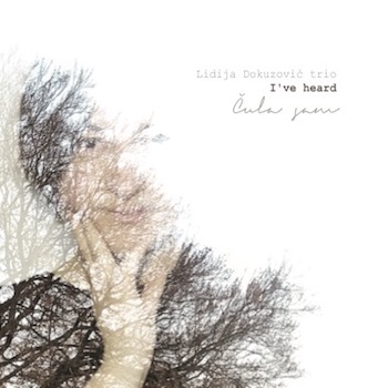 I’ve heard, Lidija Dokuzovic Trio